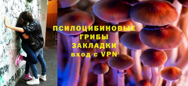прущая мука Алзамай