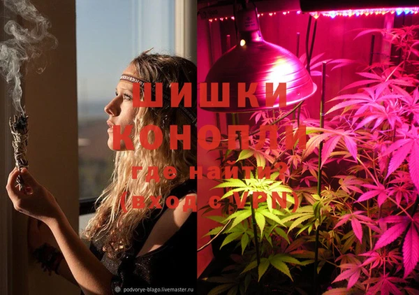 шишки Алексеевка