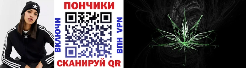 Марихуана Bruce Banner где купить наркотик Олонец